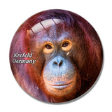 Krefeld Zoo Germany 3D Fridge Magnet Crystal Glass