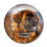 Leonberg Dog Germany 3D Fridge Magnet Crystal Glass