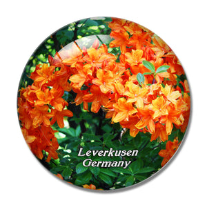 Leverkusen Japan Garden Germany 3D Fridge Magnet Crystal Glass