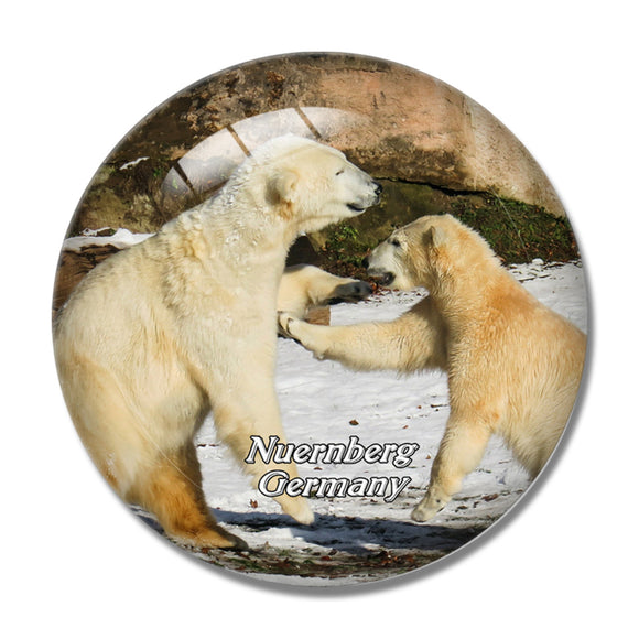 Nuernberg Tiergarten Polar Bear Germany 3D Fridge Magnet Crystal Glass