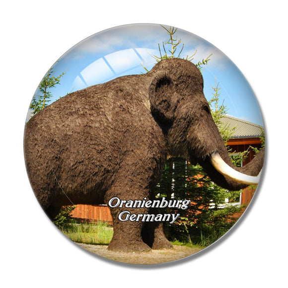 Oranienburg Sculpture Germany 3D Fridge Magnet Crystal Glass