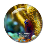 Zella-Mehlis Aquarium Germany 3D Fridge Magnet Crystal Glass