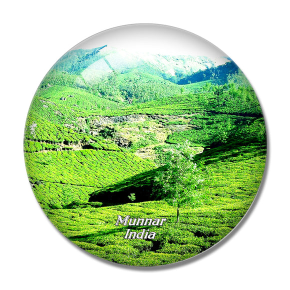 India Tea Gardens Munnar 3D Fridge Magnet Crystal Glass