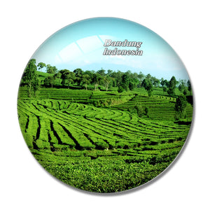 Indonesia Bandung 3D Fridge Magnet Crystal Glass