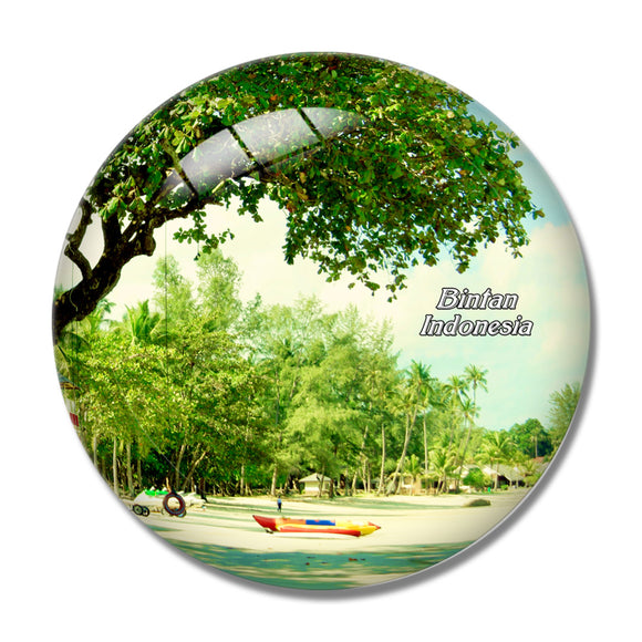 Indonesia Bintan 3D Fridge Magnet Crystal Glass