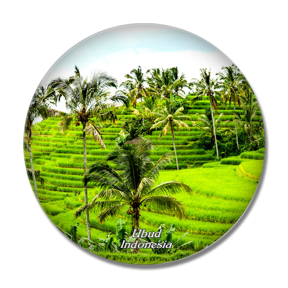 Indonesia Tegalalang Rice Terrace Ubud Bali 3D Fridge Magnet Crystal Glass