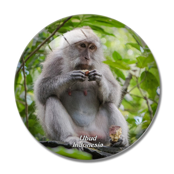 Indonesia Ubud Monkey Forest Bali 3D Fridge Magnet Crystal Glass