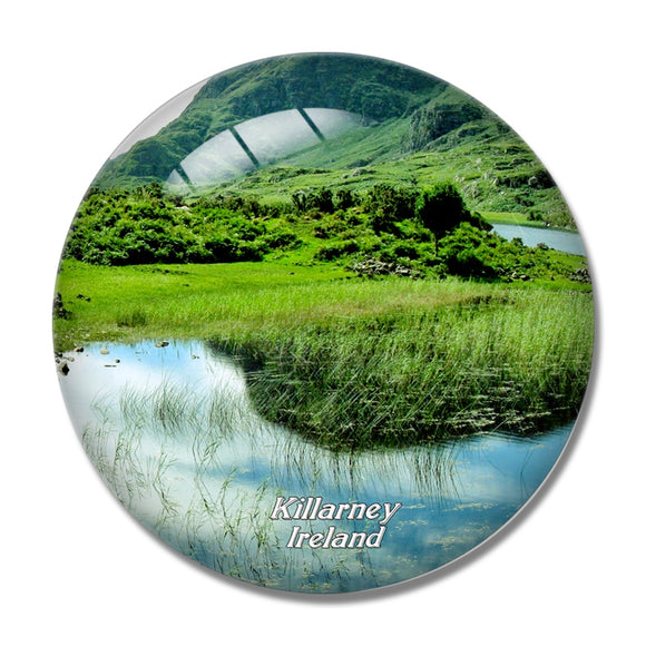 Ireland Killarney National Park 3D Fridge Magnet Crystal Glass