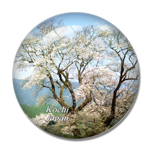 Japan Kochi 3D Fridge Magnet Crystal Glass