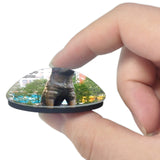 Japan Tadai Hachiko Tokyo 3D Fridge Magnet Crystal Glass