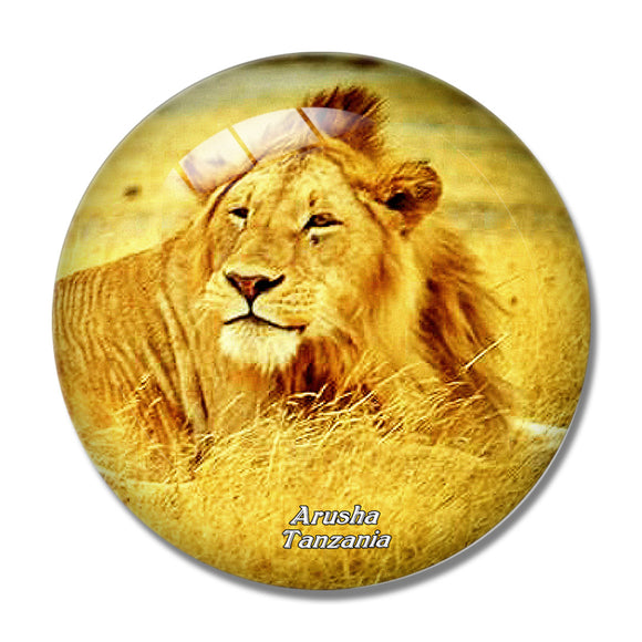 Lion Arusha Tanzania 3D Fridge Magnet Crystal Glass