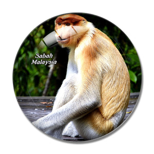 Malaysia Proboscis Monkey Sandakan Sabah 3D Fridge Magnet Crystal Glass