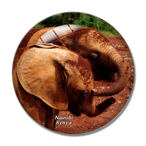 Nairobi Animal Orphanage Kenya 3D Fridge Magnet Crystal Glass