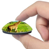 Nairobi National Park Kenya 3D Fridge Magnet Crystal Glass