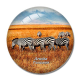 Ngorongoro Arusha 3D Fridge Magnet Crystal Glass