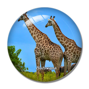 Savute Reserve Botswana 3D Fridge Magnet Crystal Glass