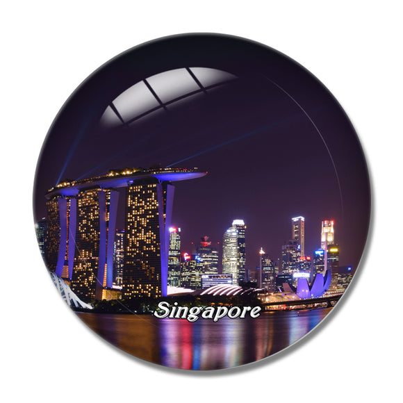 Singapore Gardens by the Bay Singapore 3D Fridge Magnet Crystal Glass