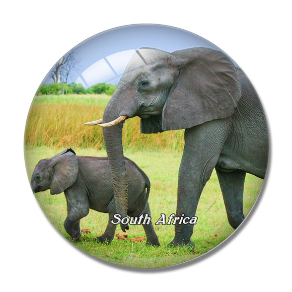 South Africa Elephant 3D Fridge Magnet Crystal Glass