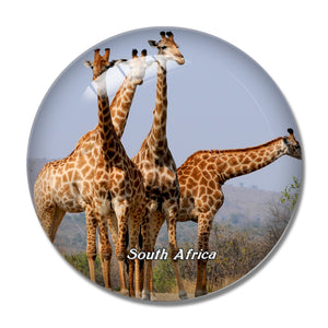 South Africa Giraffe 3D Fridge Magnet Crystal Glass