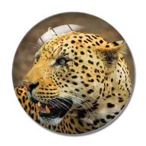 South Africa Leopard 3D Fridge Magnet Crystal Glass