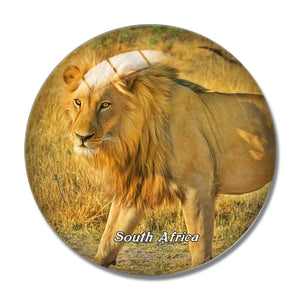 South Africa Lion 3D Fridge Magnet Crystal Glass