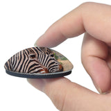 South Africa Zebra Pilanesberg National Park Sun 3D Fridge Magnet Crystal Glass