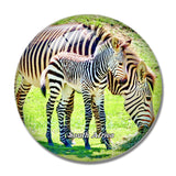 South Africa Zebra 3D Fridge Magnet Crystal Glass