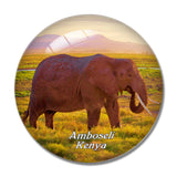 Ambosele Nation Park Amboseli Kenya 3D Fridge Magnet Crystal Glass