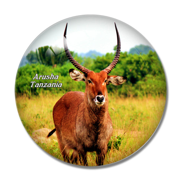 Antelope Arusha Tanzania 3D Fridge Magnet Crystal Glass