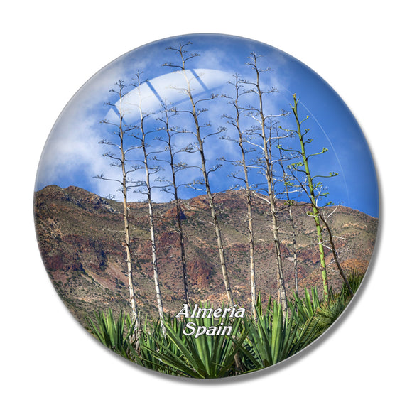 Spain Nihal Nature Park Almeria 3D Fridge Magnet Crystal Glass