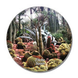 Spain Palm Groves Elche 3D Fridge Magnet Crystal Glass