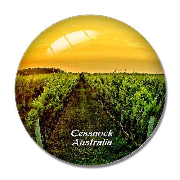 Australia Audrey Wilkinson Vineyard Pokolbin Cessnock 3D Fridge Magnet Crystal Glass