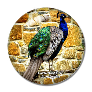 Australia Cataract Gorge Reserve Launceston 3D Fridge Magnet Crystal Glass