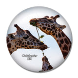 UK England Colchester Zoo 3D Fridge Magnet Crystal Glass