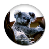 Australia Koala Hospital Port Macquarie 3D Fridge Magnet Crystal Glass