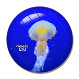 USA America Henry Doorly Zoo 3D Fridge Magnet Crystal Glass