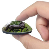 USA America Kentucky Horse Park Lexington 3D Fridge Magnet Crystal Glass