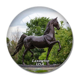 USA America Kentucky Horse Park Lexington 3D Fridge Magnet Crystal Glass
