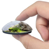 USA America La Jolla Cove 3D Fridge Magnet Crystal Glass