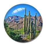 USA America Phoenix 3D Fridge Magnet Crystal Glass