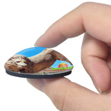 USA America San Diego Zoo 3D Fridge Magnet Crystal Glass