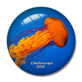 USA America Tennessee Aquarium Chattanooga 3D Fridge Magnet Crystal Glass
