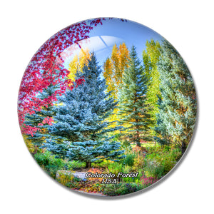 America USA Vail Colorado Forest 3D Fridge Magnet Crystal Glass