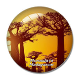 Avenue of the Baobabs Morondava Madagascar 3D Fridge Magnet Crystal Glass