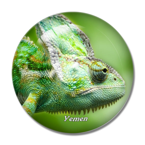 Lizard Yemen 3D Fridge Magnet Crystal Glass