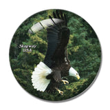 USA America Bald Eagle Skagway Alaska 3D Fridge Magnet Crystal Glass