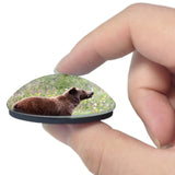 USA America Grizzly Alaska 3D Fridge Magnet Crystal Glass
