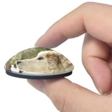 USA America Malamute Alaska 3D Fridge Magnet Crystal Glass