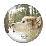 USA America Malamute Alaska 3D Fridge Magnet Crystal Glass