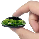 Batumi Georgia 3D Fridge Magnet Crystal Glass